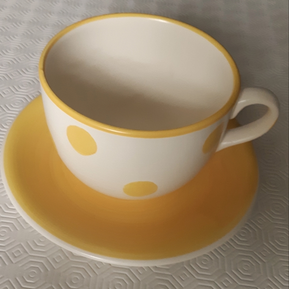2/25$***20 oz. Large ceramic mug and saucer made in Italy